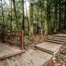 돈내코로 이미지