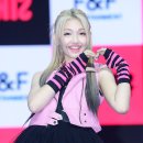당카 이미지