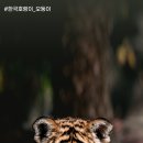 타이거벨리 이미지