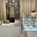 해피퍼피스데이 이미지