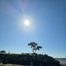 하늘별바다 펜션 | 광주근교가족여행펜션-무안하늘별바다펜션(낚시포인트,수영장,해루질)