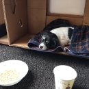 형제농장1호 이미지