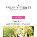 퀸즈헤어 이미지