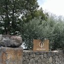 온리 | [카페] 제주도 분위기 좋은 카페 '원앤온리' 방문 후기!