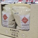 호라산그린에너지 | 코스트코 카무트 활용법 – 밥, 죽, 수제비, 간식까지 다 해봤어요