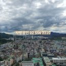 개포사랑공인중개사사무소 이미지
