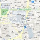 명동콤비치과의원 티스토리