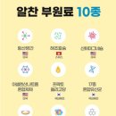 뉴데이라이프