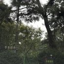 추동물병원 | [포천캠핑] 🏕️ 포천 추동캠프 캠핑장 후기