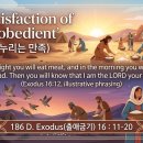 186 D. 출애굽기 16 : 11-20 순종으로 누리는 만족 2062705‘생명의 양식365’를 유튜브에서 만날 수 있습니다.(이영길 이미지