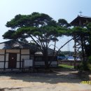 두동편백마을 이미지