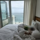피코 울산지점 네이버블로그