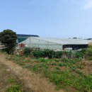 강정동-79 이미지