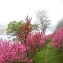 벼룻길민박 이미지