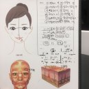 끌리메 청주점 후기 🌷