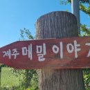 메밀이야기 이미지