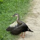 월지농장 이미지