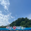 수시호 이미지