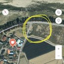 카페나무 이미지