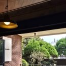 4198 | [목포 카페]무가보 솔직헌 후기 새가 짹짹 우는 소리에 나 나른해져