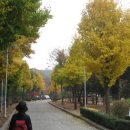 루터대학교 이미지