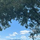 오플로우 이미지