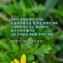 날마다 정식