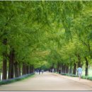 해맑은천상 이미지