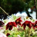 주왕산황토방 이미지