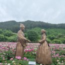 꽃보러가자 | 2026 제3회 영월군 작약꽃축제 후기