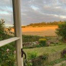 코끼리셀프 이미지