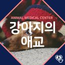 연성 동물병원 이미지