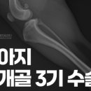 영도동물병원 이미지