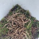 현동농장 이미지