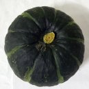 다정이네 이미지