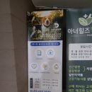 다랑동물병원 이미지