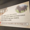 와규앤막창 이미지