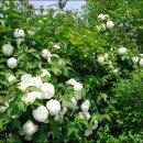 입암파출소 이미지