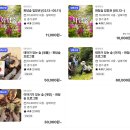 마고실쉼터(두꺼비다리) | 경기 광주 가볼만한곳~ &#39;화담숲&#39; 생태수목원 방문 후기(ft. LG상록재단)