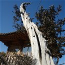 삼원건설㈜ 이미지