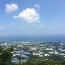 (주)이꼬르 | 2025 7월의 제주 기록
