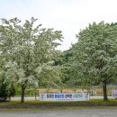 사람이아름다운태권도 이미지