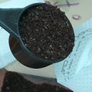 선문농장 이미지