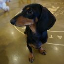 백석역3번출구 이미지