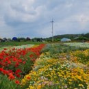 도담행복마을 이미지