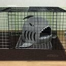 바니니하우스