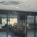 중앙동095 | [창원 상남동]💇‍♀️ 보그헤어 롯데마트 맥스 점 염색 후기