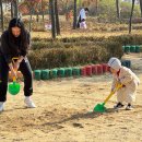 성성호수어린이집 이미지