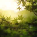 한경원광소규모요양시설 이미지