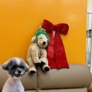 머뭉공간 이미지